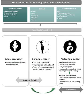 Mind the Mother When Considering Breastfeeding